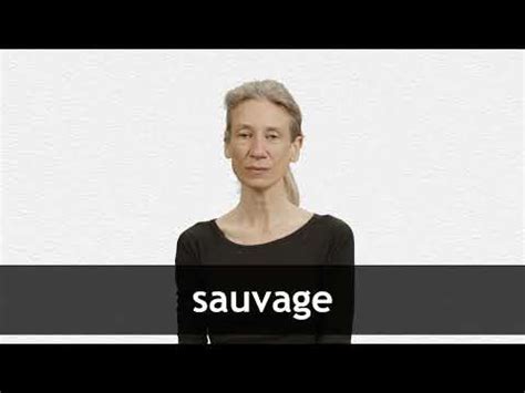 sauvage translation|translate sauvage to english.